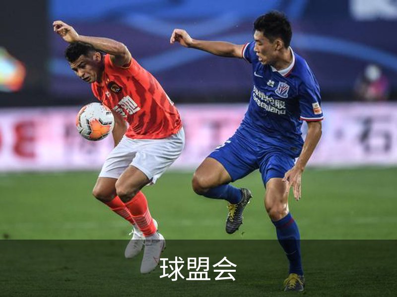 球盟会简介